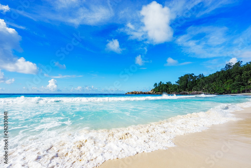 Fototapeta Naklejka Na Ścianę i Meble -  beautiful paradise beach at the police bay, seychelles 33