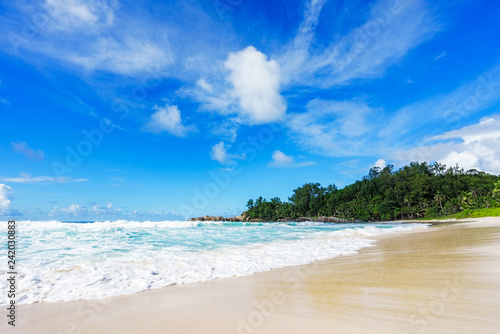 Fototapeta Naklejka Na Ścianę i Meble -  beautiful paradise beach at the police bay, seychelles 35
