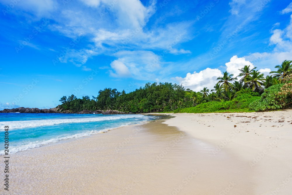 beautiful paradise beach at the police bay, seychelles 39 beautiful paradise beach at the police bay, seychelles 39