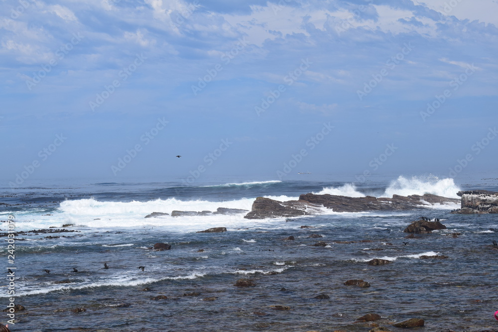 Fototapeta premium Sea