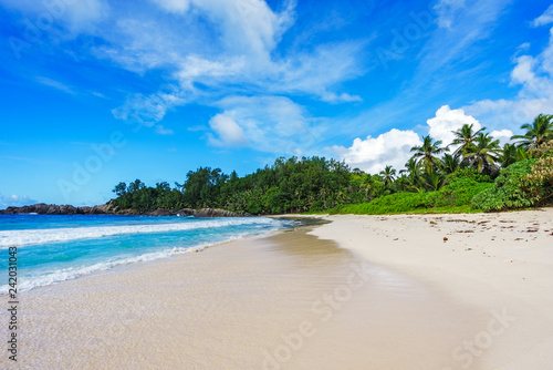 Fototapeta Naklejka Na Ścianę i Meble -  beautiful paradise beach at the police bay, seychelles 39