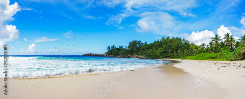 Fototapeta Naklejka Na Ścianę i Meble -  beautiful paradise beach at the police bay, seychelles 40