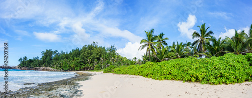 panorama of tropical beach with palm trees, paradise on mahé, police bay, seychelles