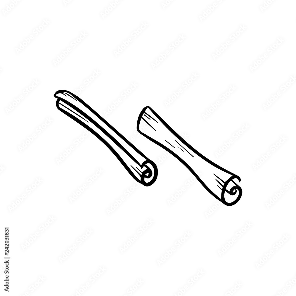 Obraz premium Cinnamon doodle icon. Vector isolated sketch image