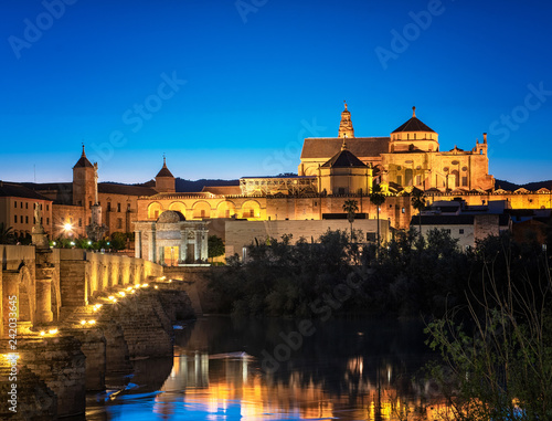 Roman Bridge and Guadalquiv...
