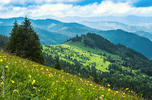 Landscape from height to mountain slopes, blue distance, meadow, tree. Ukraine The Carpathians.