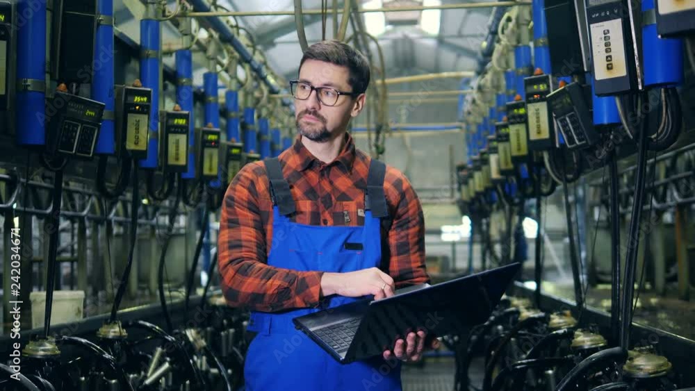 Milking machines and a male expert making calculations on a laptop Milking machines and a male expert making calculations on a laptop