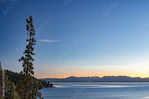 Lake Tahoe Skinny Tree Sunset © Dominic Gentilcore