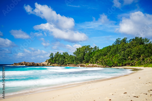 Fototapeta Naklejka Na Ścianę i Meble -  beautiful paradise tropical beach,palms,rocks,white sand,turquoise water, seychelles 5