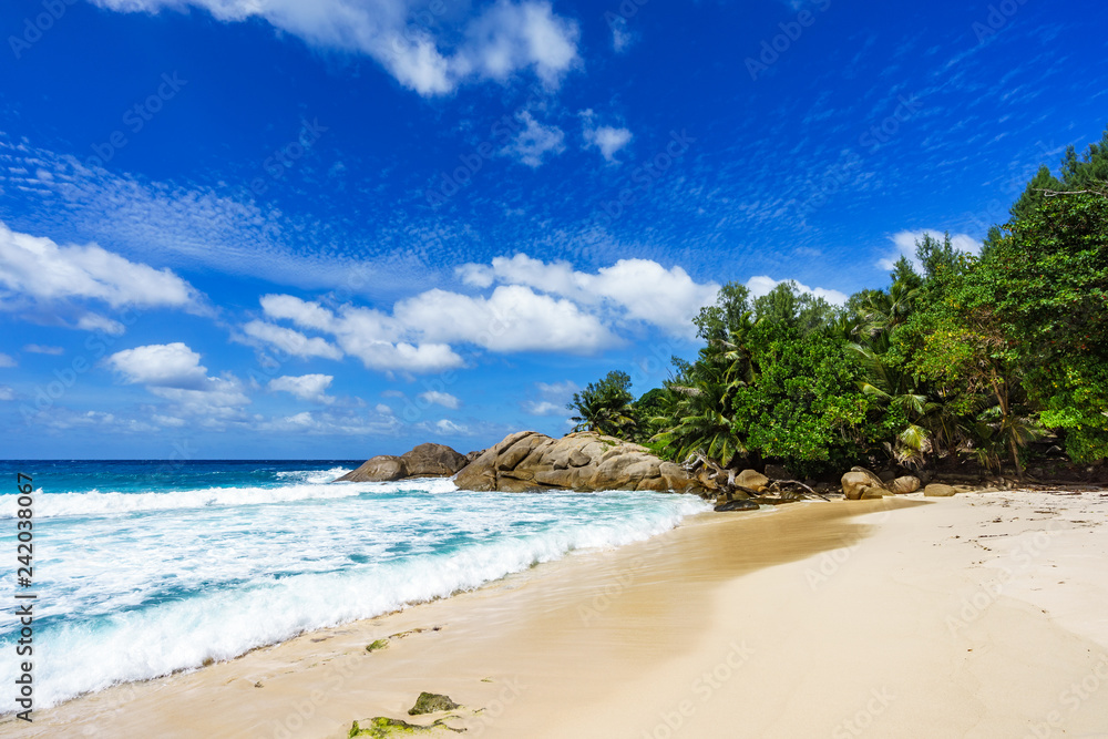 Beautiful tropical beach,palms,white sand,granite rocks,seychelles 16