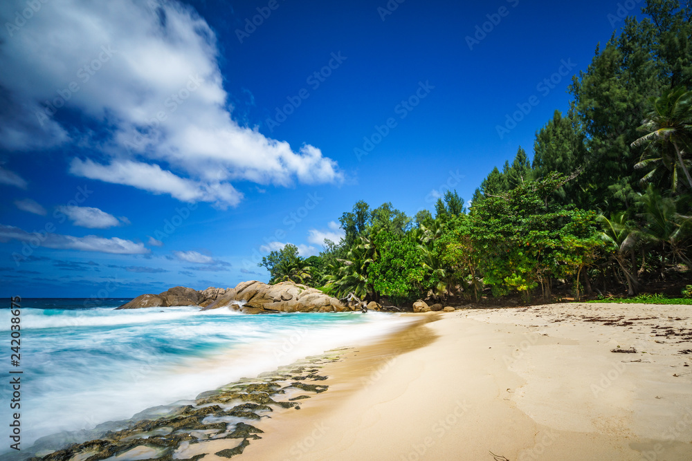 beautiful paradise tropical beach,palms,rocks,white sand,turquoise water, seychelles 39