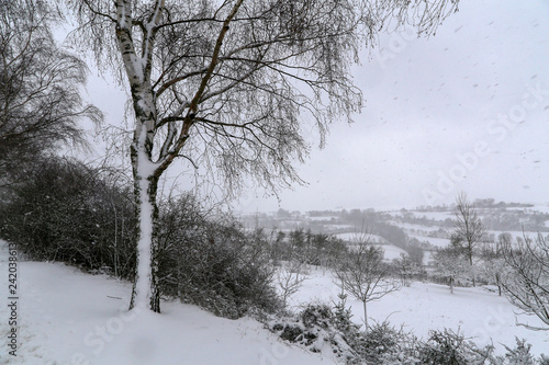 Winter landscape. Winter landscape after heavy snowfall © leomalsam