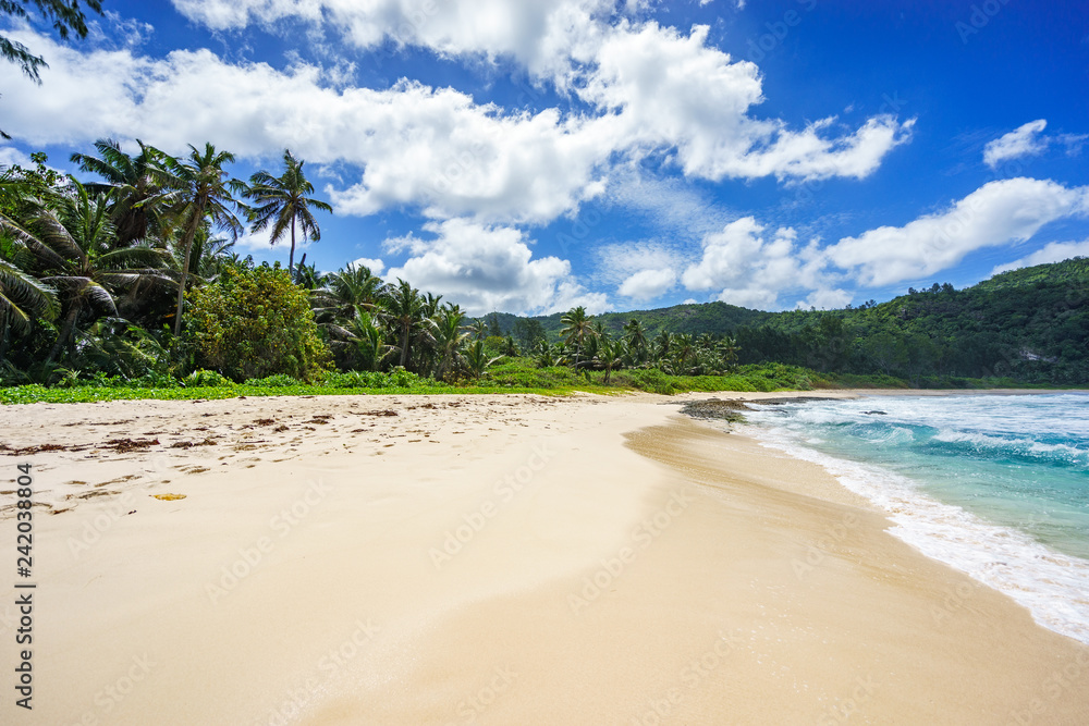 Beautiful tropical beach,palms,white sand,granite rocks,seychelles 23