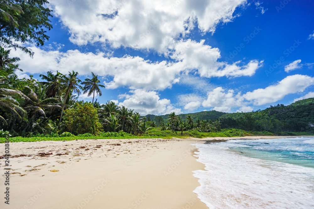 Beautiful tropical beach,palms,white sand,granite rocks,seychelles 25
