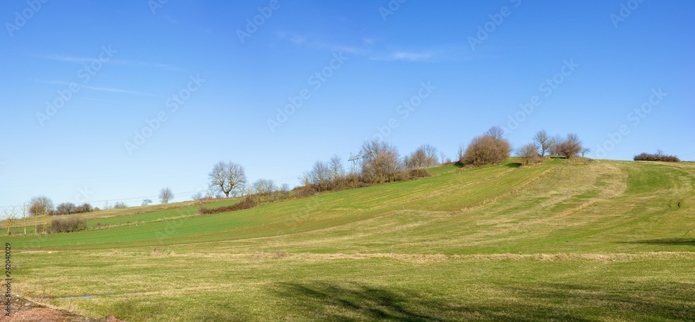 green field and blue sky