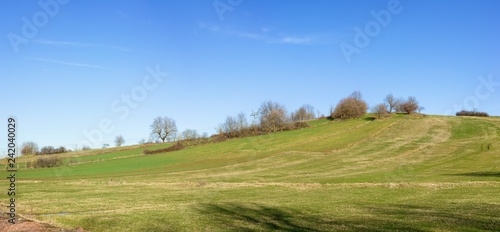 green field and blue sky