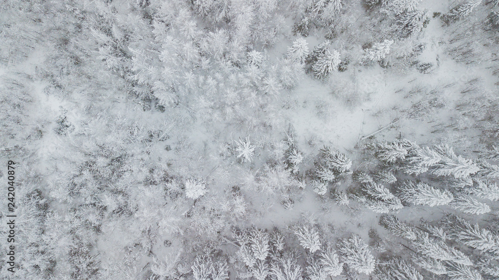 Top down aerial view over the tops of frosty forest. The trees are covered with snow. Directly above view.
