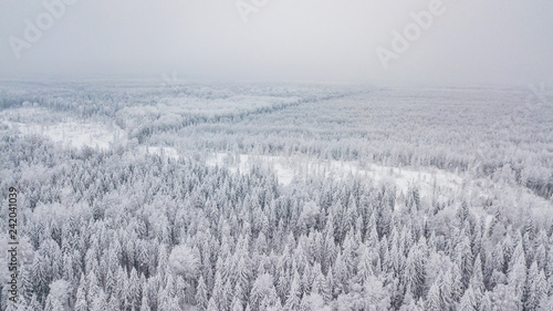 Aerial view forest winter. Snowy tree branch in a view of the winter forest.