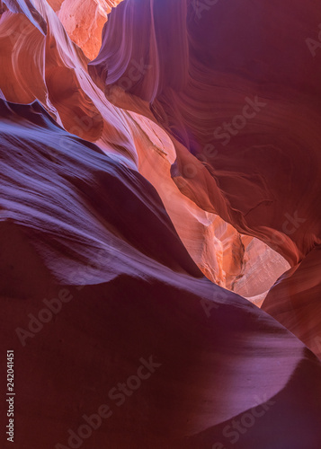 Scenic Canyon Antelope, Arizona