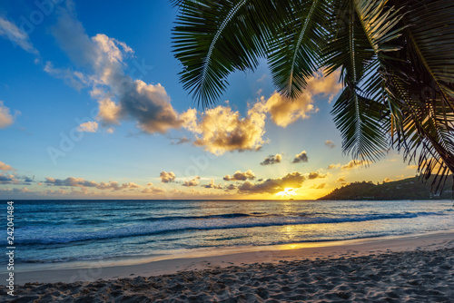 Fototapeta Naklejka Na Ścianę i Meble -  sunset at tropical beach behind palm leaf,anse intendance, seychelles 2