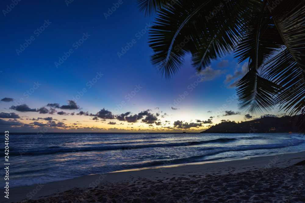 after sunset at tropical beach behind palm leaf,anse intendance, seychelles 3
