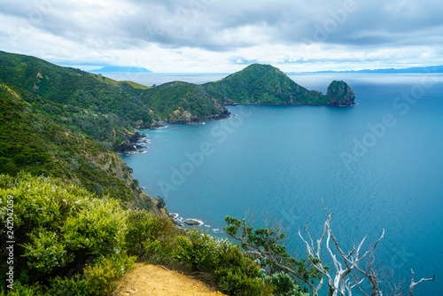 Hiking the Coromandel Coastal Walkway, New Zealand 7