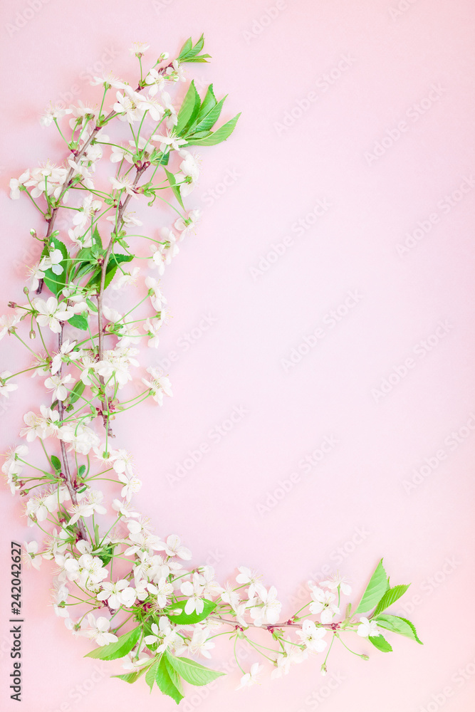 White spring cherry tree blooming brunch