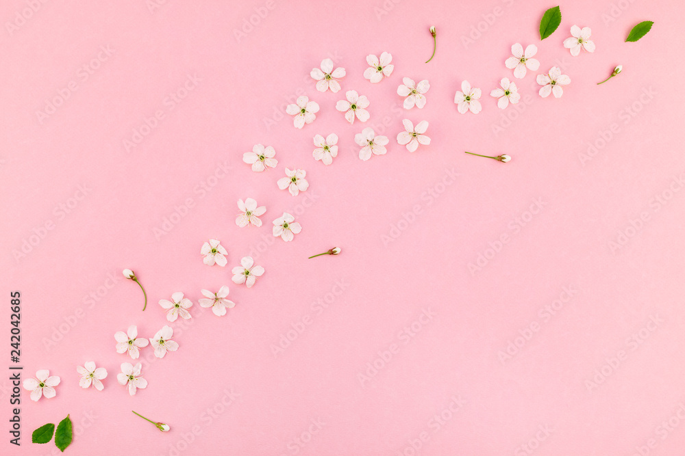 White spring cherry tree blooming flowers pattern White spring cherry tree blooming flowers pattern