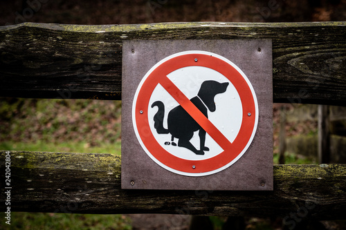 Schild mit kein Hundeklo photo