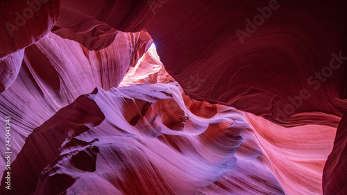 Scenic Canyon Antelope, Arizona