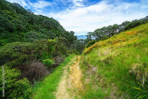 Hiking the Coromandel Coastal Walkway  New Zealand 34