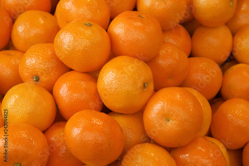 tangerine harvest. many tangerines.mandarine close up	