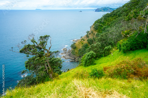 Hiking the Coromandel Coastal Walkway  New Zealand 66