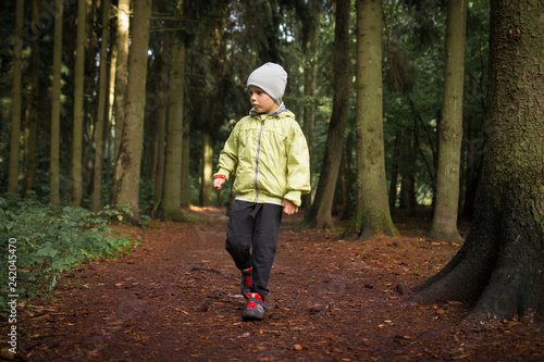 Little boy walks on path in forest park. © dzmitrock87