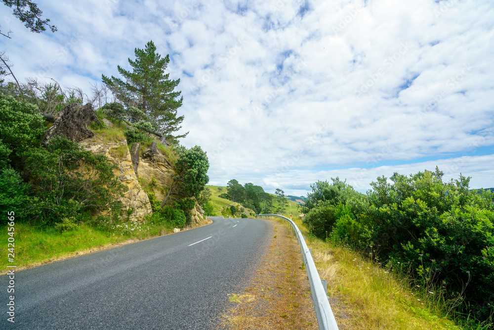 road in green hills,coromandel peninsula, new zealand 1