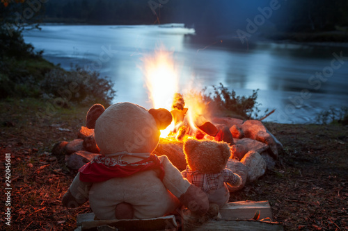 Zwei Teddybären sitzen verträumt am Lagerfeuer