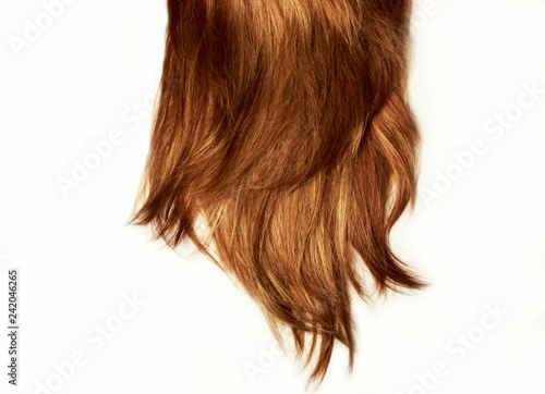 Natural highlight shiny healthy human long hair. Hair Cut off on White Background