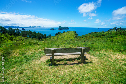 wooden bench at cathedral cove,coromandel peninsula, new zealand 1