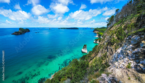 view from the cliffs at cathedral cove,coromandel peninsula, new zealand 3