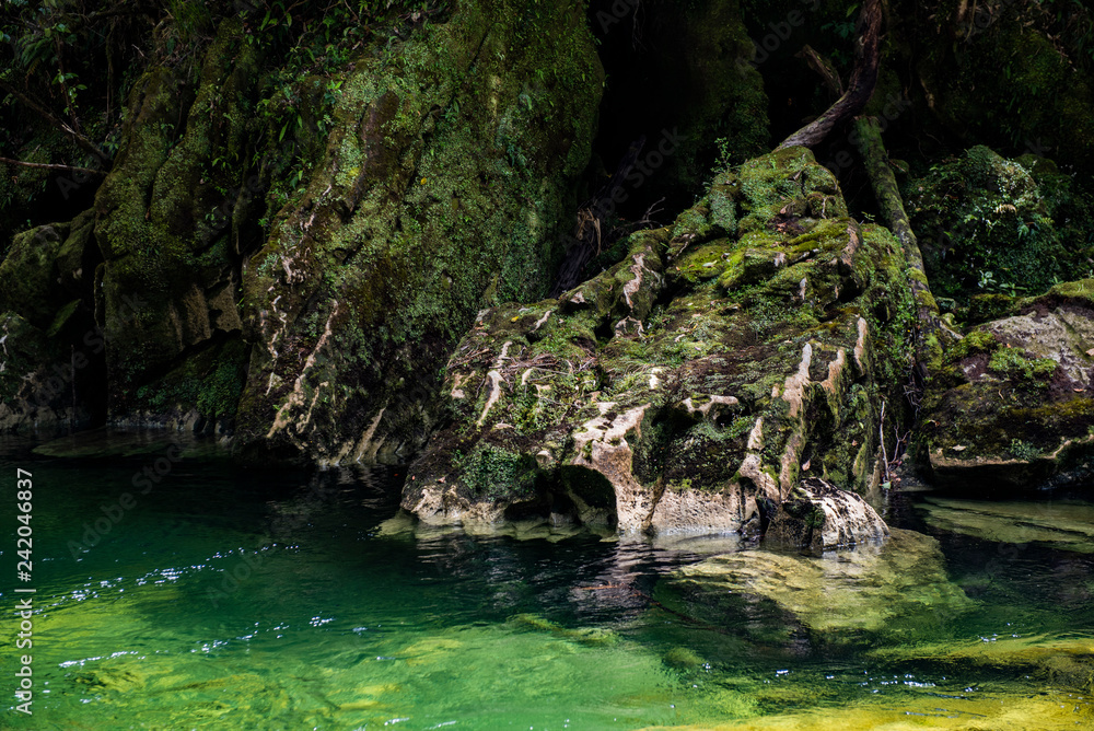 Mossy River Mossy River