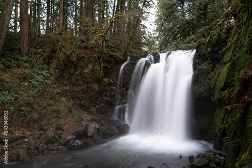 Majestic Fall at McDowell Creek Fall County Park in Oregon