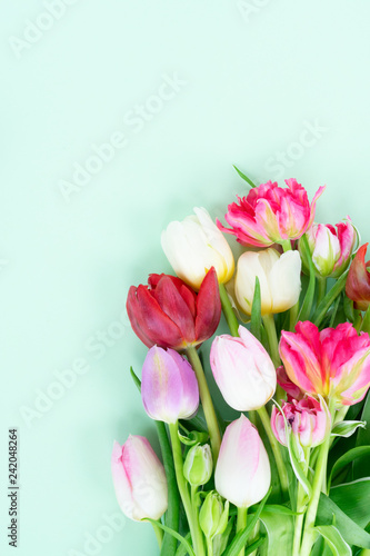 Fototapeta Naklejka Na Ścianę i Meble -  Fresh tulips flowers