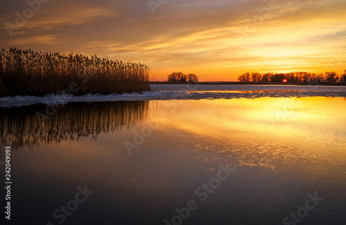 Beautiful Winter landscape with frozen river  reeds and sunset sky. Composition of nature.