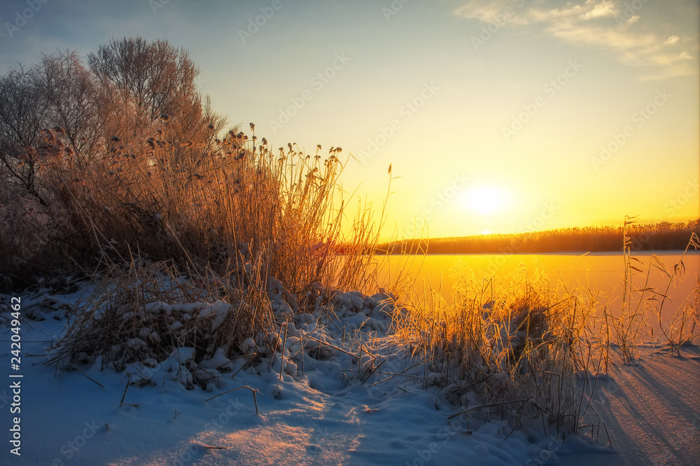 Beautiful winter landscape. The branches of the trees are covered with hoarfrost. Foggy morning sunrise. Colorful evening, bright sunshine over a river or lake. Beautiful winter landscape. The branches of the trees are covered with hoarfrost. Foggy morning sunrise. Colorful evening, bright sunshine over a river or lake.