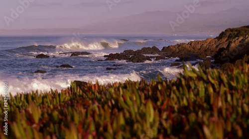 RUGGED COASTLINE WITH CRASHING WAVES.  ICE PLANTS IN THE FOREGROUND OF THIS 4K, SLOW MOTION SHOT.  60 FPS. photo