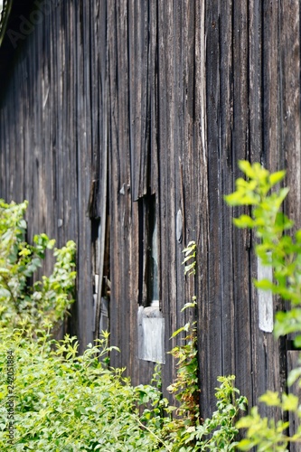 Barn