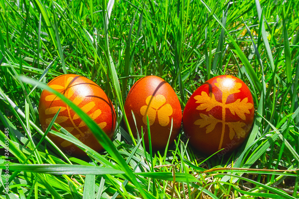 Fototapeta premium banner uova di Pasqua colorate sul prato verde