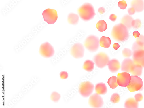 Rose gold petals flying cosmetics vector background. © SunwArt