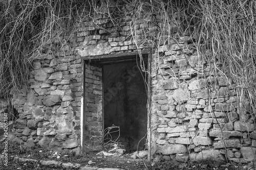 Abandoned building. House without doors. Empty old house. Stone walls.  Witch's house. Entrance to a scary place. The atmosphere of a horror movie.  Old country house. Stock Photo | Adobe Stock