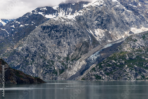 Fototapeta Naklejka Na Ścianę i Meble -  Johns Hopkins Glacier and mountains on a cloudy day in Glacier Bay, Alaska